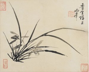 Paysages, Fleurs et Oiseaux : Orchidée, Dynastie Qing, 1780